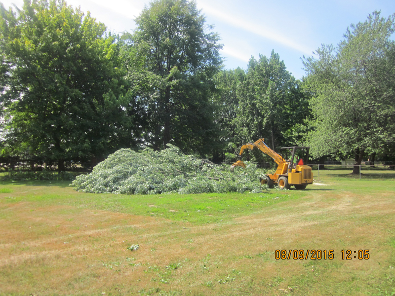 Land clearing company in Lyndhurst OH